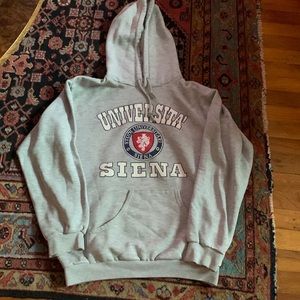 Unisex Universita’ Siena gray hooded sweatshirt.  Made in Italy. Size M.